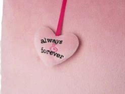 NICI Kissen Love Schwan GREEN, Rechteckig, 43 X 25 Cm (48274) -Nici 26039450 03